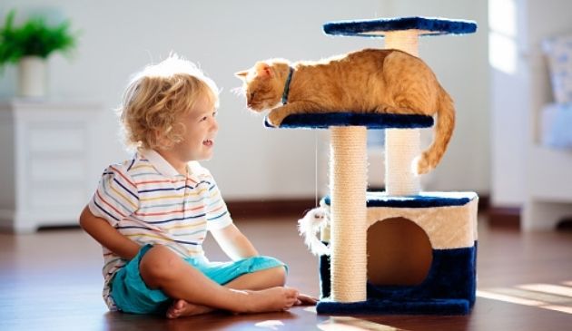 good quality cat tree