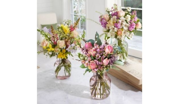Bloom & Wild flowers