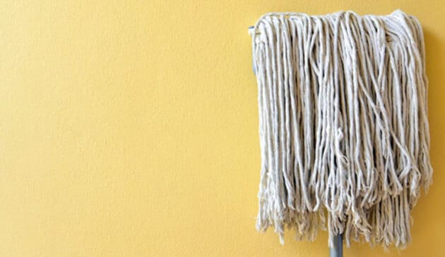 Mop head