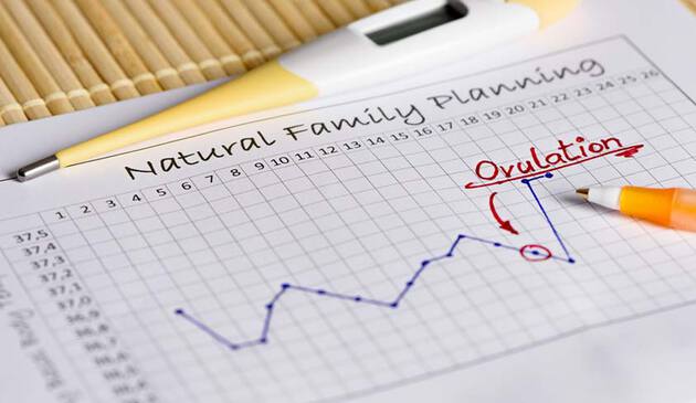 Ovulation