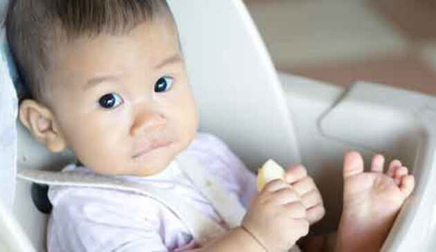 Baby sitting in high chair holding food