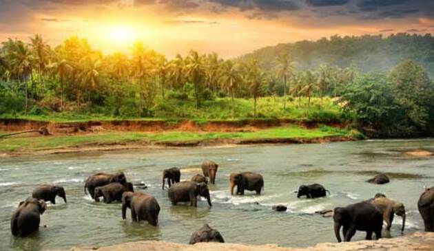 Sri Lanka