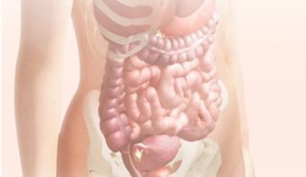 Pregnancy calendar week 11